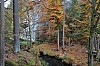 16_MGGW_Sa - 20.jpg