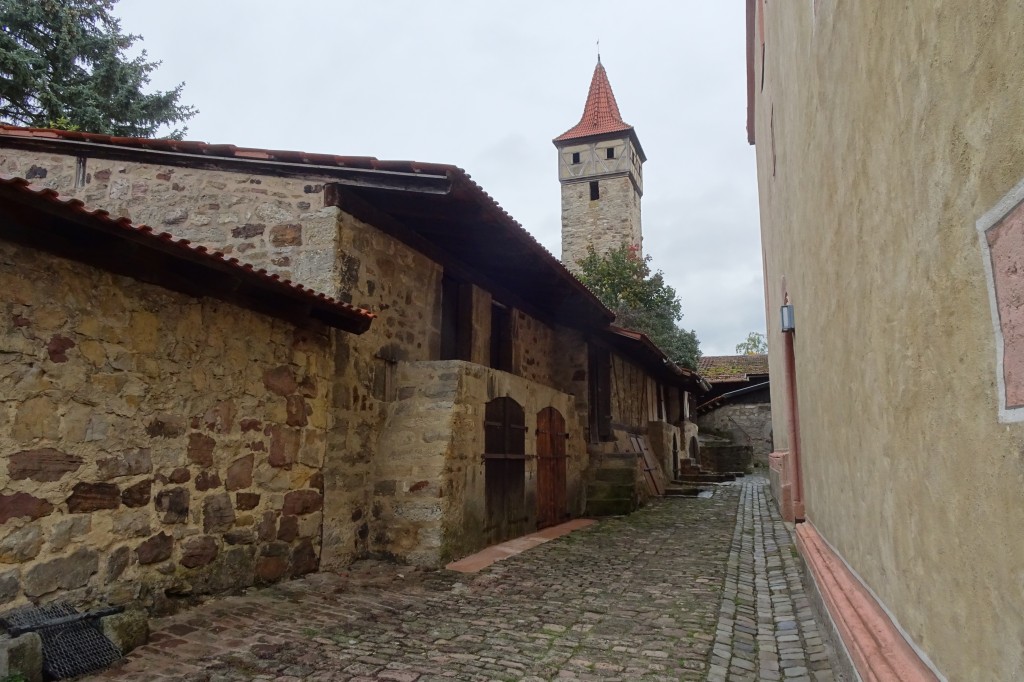MGGW-2019 - 0540.jpg