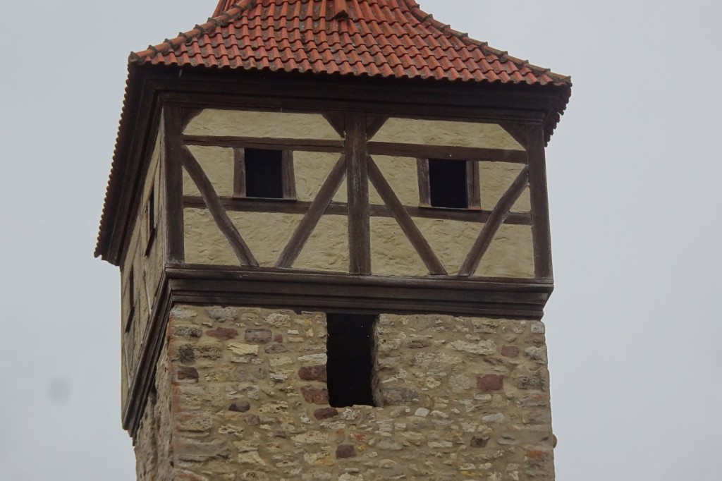 MGGW-2019 - 0560.jpg