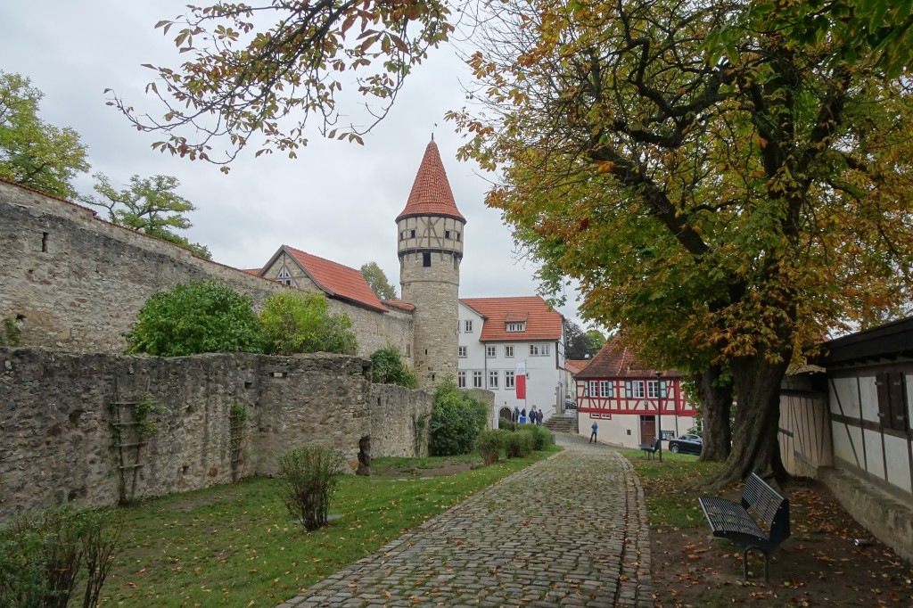 MGGW-2019 - 0580.jpg