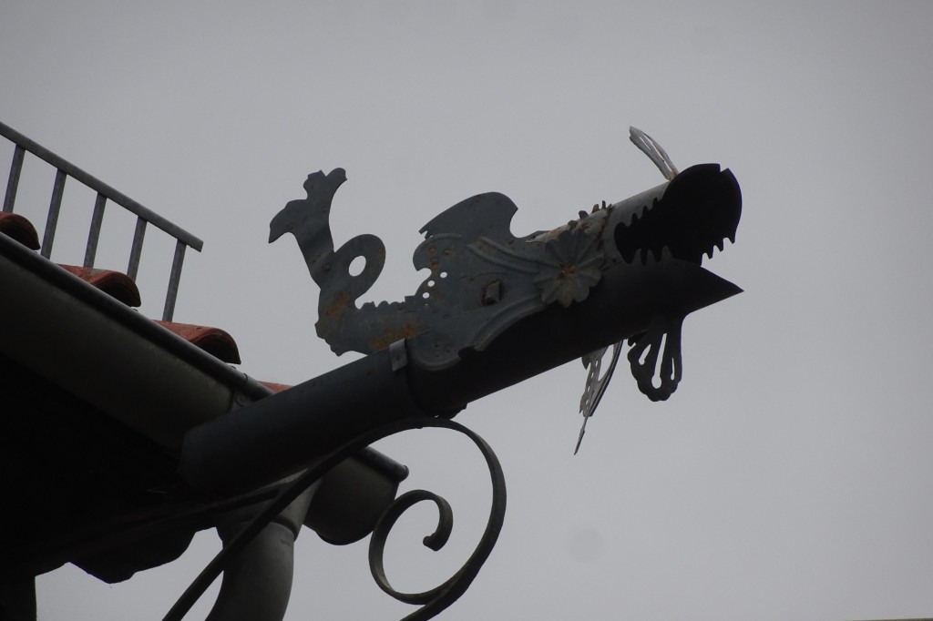 MGGW-2019 - 0590.jpg