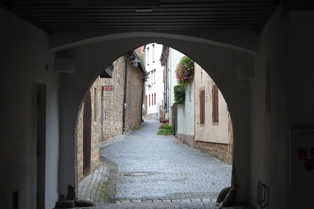 MGGW-2019 - 0620.jpg