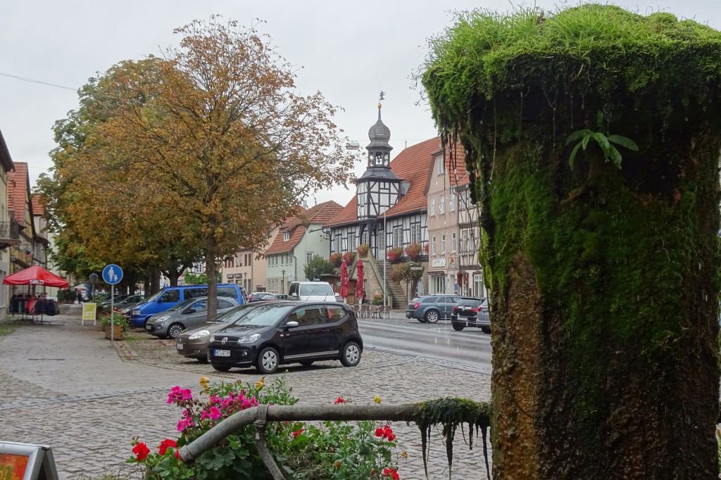 MGGW-2019 - 0690.jpg