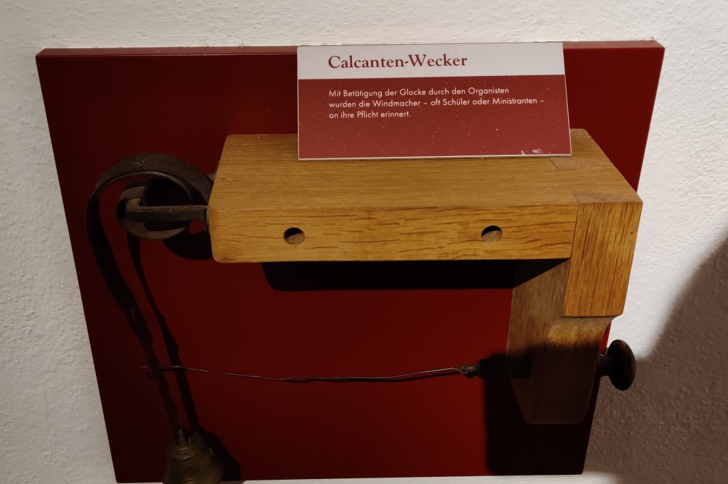 MGGW-2019 - 0823.jpg