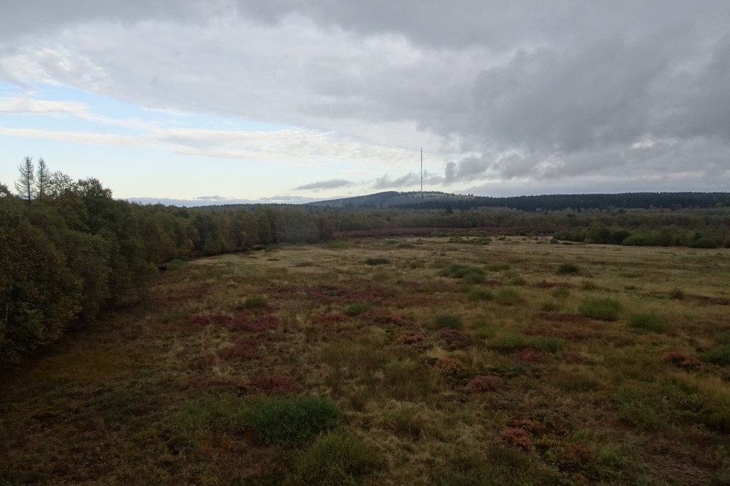 MGGW-2019 - 1630.jpg