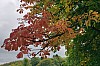 MGGW-2019 - 0010.jpg