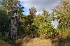 MGGW-2019 - 0260.jpg