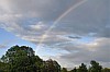 MGGW-2019 - 0310.jpg