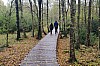 MGGW-2019 - 0350.jpg