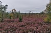 MGGW-2019 - 0360.jpg