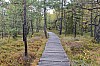 MGGW-2019 - 0410.jpg