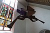 MGGW-2019 - 0490.jpg