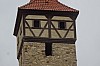 MGGW-2019 - 0560.jpg