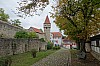 MGGW-2019 - 0580.jpg