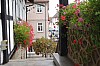MGGW-2019 - 0630.jpg