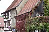 MGGW-2019 - 0660.jpg