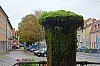 MGGW-2019 - 0680.jpg