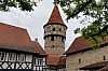 MGGW-2019 - 0730.jpg
