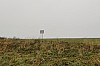 MGGW-2019 - 1062.jpg