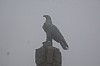 MGGW-2019 - 1090.jpg