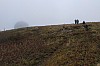 MGGW-2019 - 1091.jpg