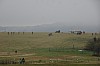 MGGW-2019 - 1190.jpg