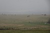 MGGW-2019 - 1210.jpg