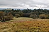 MGGW-2019 - 1411.jpg