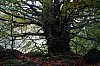 MGGW-2019 - 1520.jpg