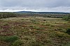 MGGW-2019 - 1600.jpg