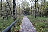 MGGW-2019 - 1640.jpg